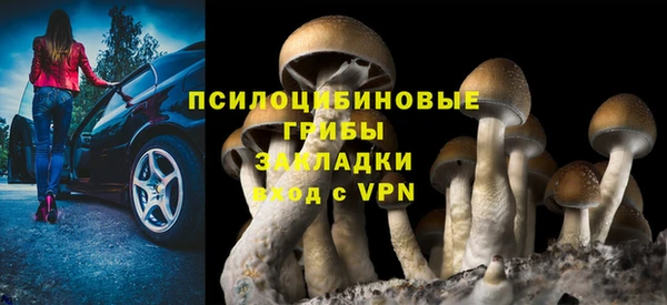 прущая мука Алзамай
