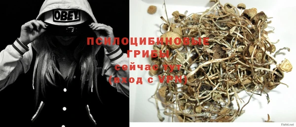 PSILOCYBIN Сафоново