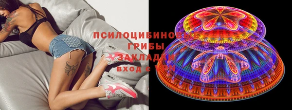 прущая мука Алзамай